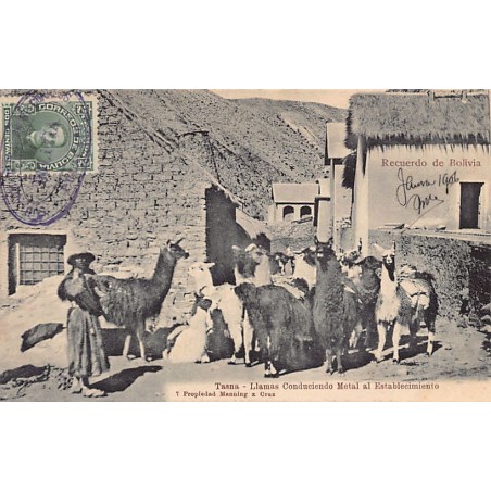 Rare collectable postcards of Bolivia. Vintage Postcards of Bolivia