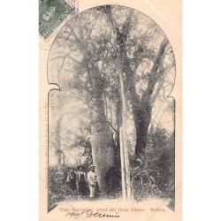 Rare collectable postcards of Bolivia. Vintage Postcards of Bolivia