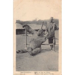 Rare collectable postcards of Central African Republic. Vintage Postcards of Central African Republic