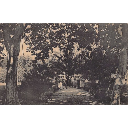 Rare collectable postcards of Algeria. Vintage Postcards of Algeria