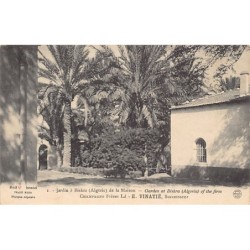 Rare collectable postcards of Algeria. Vintage Postcards of Algeria
