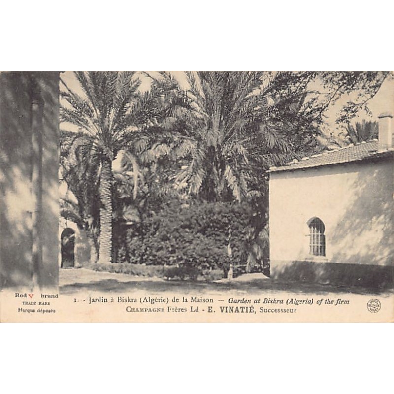 Rare collectable postcards of Algeria. Vintage Postcards of Algeria