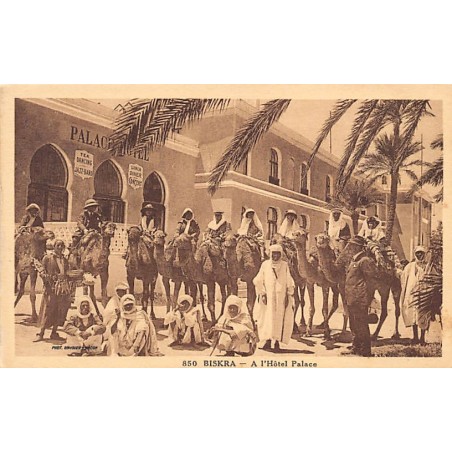 Rare collectable postcards of Algeria. Vintage Postcards of Algeria