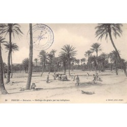 Rare collectable postcards of Algeria. Vintage Postcards of Algeria