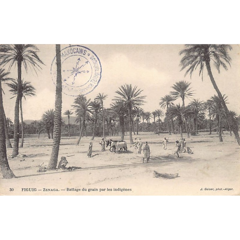 Rare collectable postcards of Algeria. Vintage Postcards of Algeria