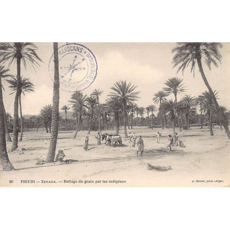 Rare collectable postcards of Algeria. Vintage Postcards of Algeria