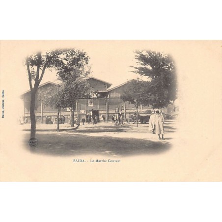 Rare collectable postcards of Algeria. Vintage Postcards of Algeria