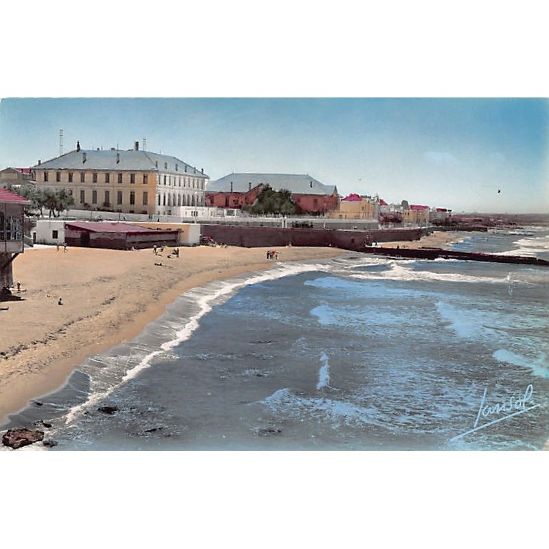 Rare collectable postcards of Algeria. Vintage Postcards of Algeria