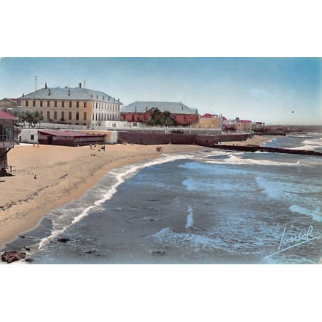 Rare collectable postcards of Algeria. Vintage Postcards of Algeria
