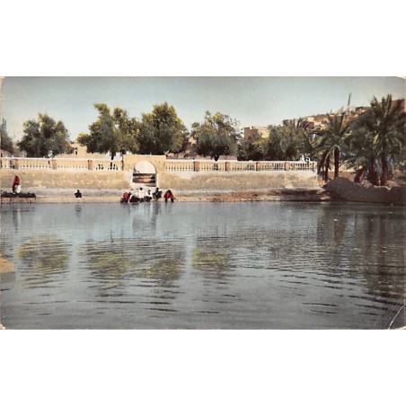 Rare collectable postcards of Algeria. Vintage Postcards of Algeria