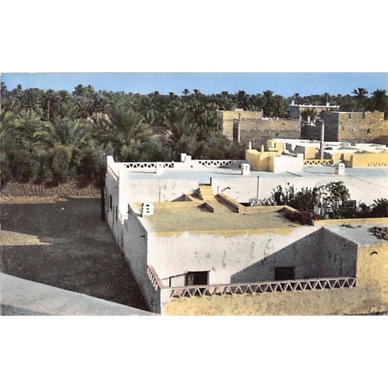 Rare collectable postcards of Algeria. Vintage Postcards of Algeria