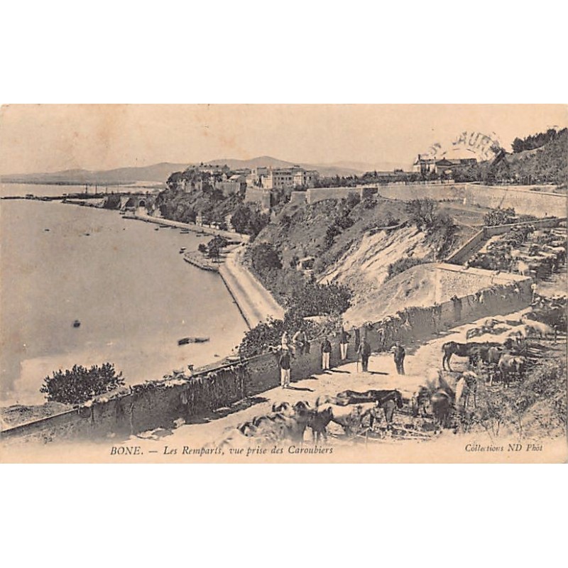 Rare collectable postcards of Algeria. Vintage Postcards of Algeria