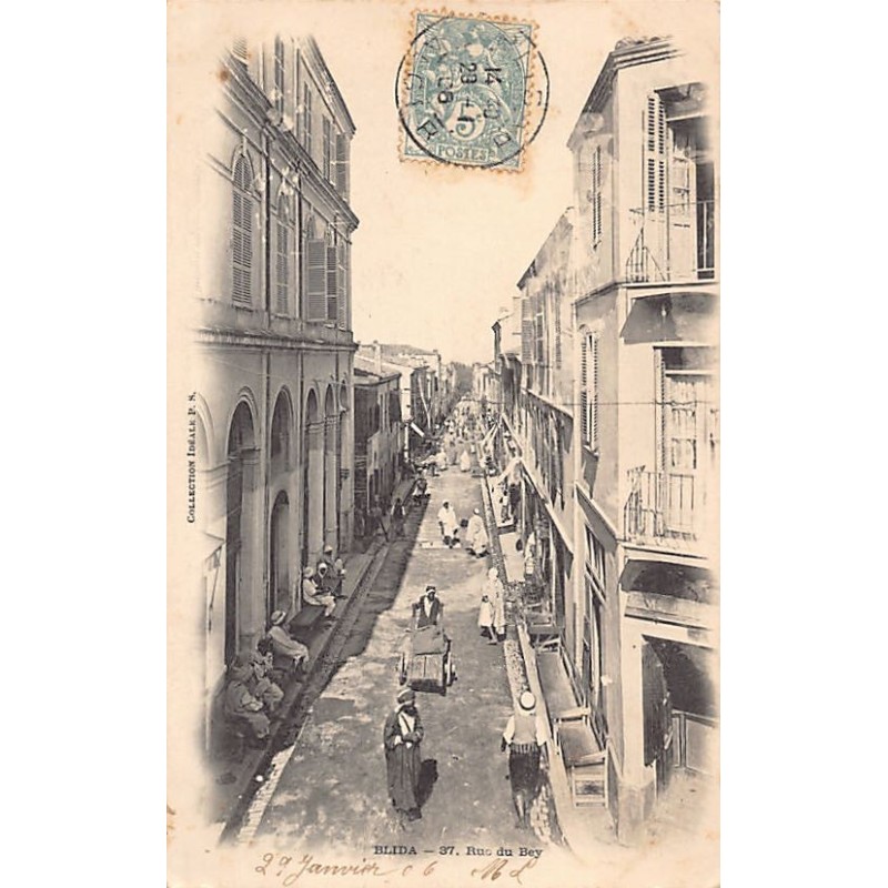 Rare collectable postcards of Algeria. Vintage Postcards of Algeria