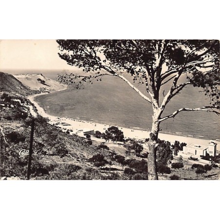 Rare collectable postcards of Tunisia. Vintage Postcards of Tunisia