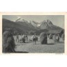 Rare collectable postcards of Germany. Vintage Postcards of Germany