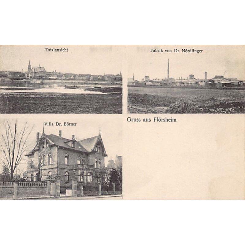 Rare collectable postcards of Germany. Vintage Postcards of Germany