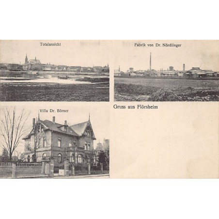 Rare collectable postcards of Germany. Vintage Postcards of Germany