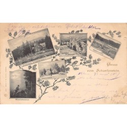 Rare collectable postcards of Germany. Vintage Postcards of Germany