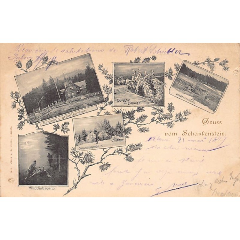 Rare collectable postcards of Germany. Vintage Postcards of Germany