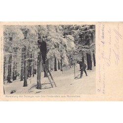 Rare collectable postcards of Germany. Vintage Postcards of Germany