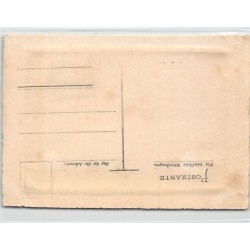 Rare collectable postcards of Germany. Vintage Postcards of Germany