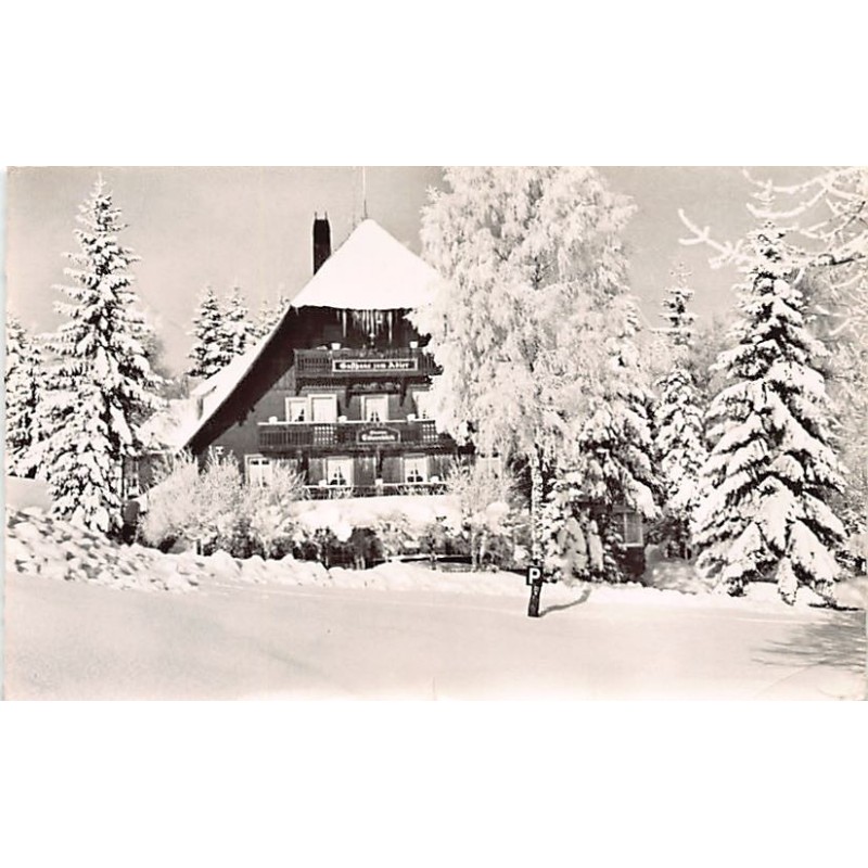 Rare collectable postcards of Germany. Vintage Postcards of Germany