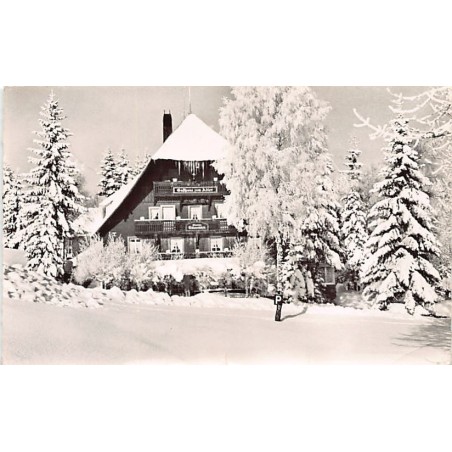 Rare collectable postcards of Germany. Vintage Postcards of Germany