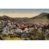 Rare collectable postcards of Germany. Vintage Postcards of Germany