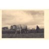 Rare collectable postcards of Germany. Vintage Postcards of Germany