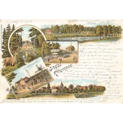 Rare collectable postcards of Germany. Vintage Postcards of Germany