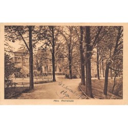 Rare collectable postcards of Germany. Vintage Postcards of Germany