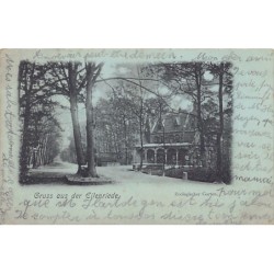 Rare collectable postcards of Germany. Vintage Postcards of Germany