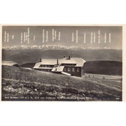Rare collectable postcards of Germany. Vintage Postcards of Germany