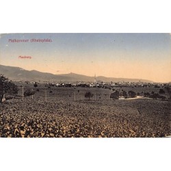 Rare collectable postcards of Germany. Vintage Postcards of Germany