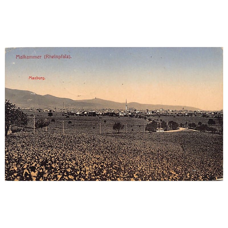 Rare collectable postcards of Germany. Vintage Postcards of Germany