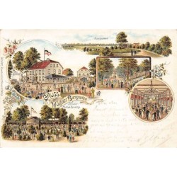 Rare collectable postcards of Germany. Vintage Postcards of Germany