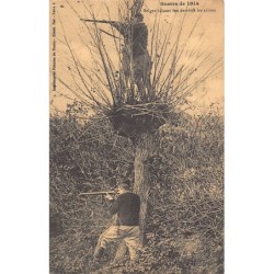 Rare collectable postcards of Belgium. Vintage Postcards of Belgium