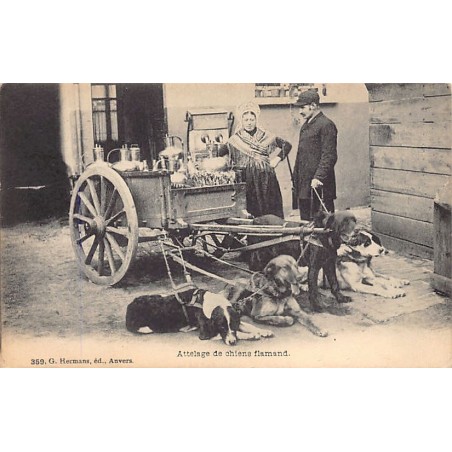 Rare collectable postcards of Belgium. Vintage Postcards of Belgium