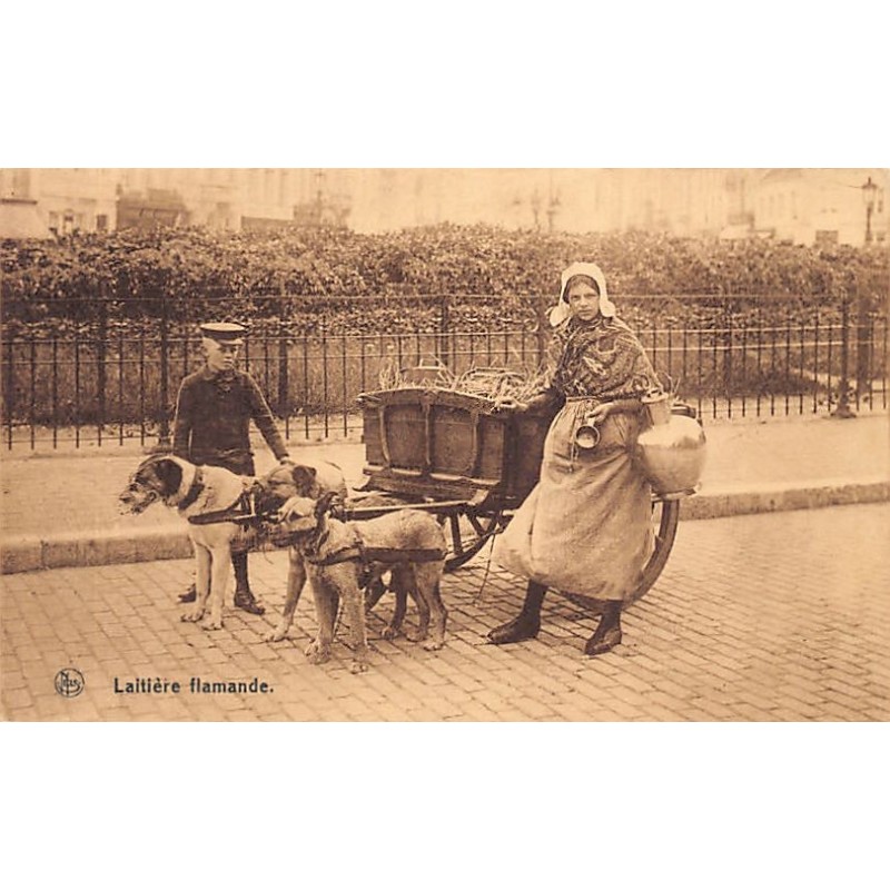 Rare collectable postcards of Belgium. Vintage Postcards of Belgium