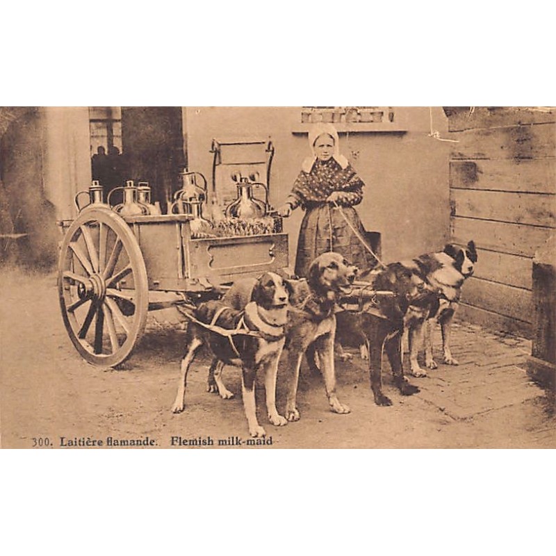 Rare collectable postcards of Belgium. Vintage Postcards of Belgium