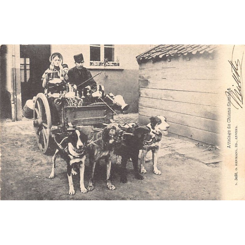 Rare collectable postcards of Belgium. Vintage Postcards of Belgium