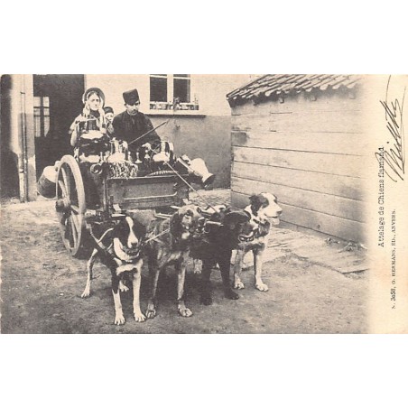 Rare collectable postcards of Belgium. Vintage Postcards of Belgium