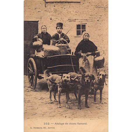 Rare collectable postcards of Belgium. Vintage Postcards of Belgium