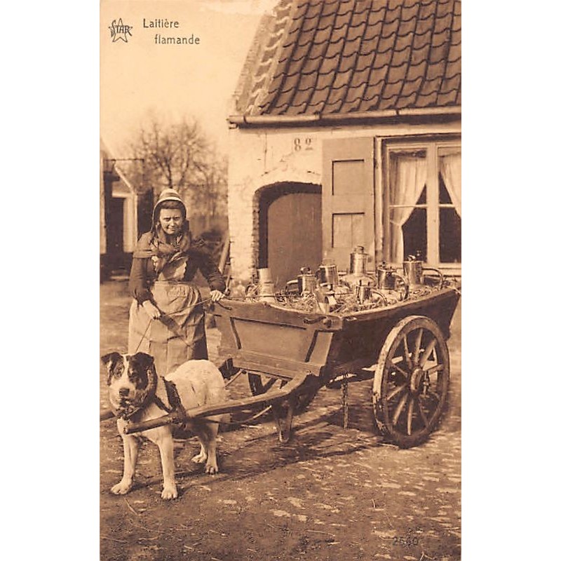 Rare collectable postcards of Belgium. Vintage Postcards of Belgium