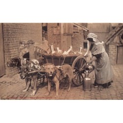 Rare collectable postcards of Belgium. Vintage Postcards of Belgium