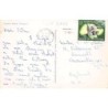 Rare collectable postcards of Singapore. Vintage Postcards of Singapore