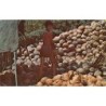 Rare collectable postcards of Singapore. Vintage Postcards of Singapore