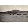 Rare collectable postcards of Angola. Vintage Postcards of Angola