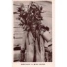 Rare collectable postcards of Lesotho. Vintage Postcards of Lesotho
