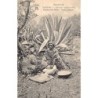 Rare collectable postcards of Lesotho. Vintage Postcards of Lesotho